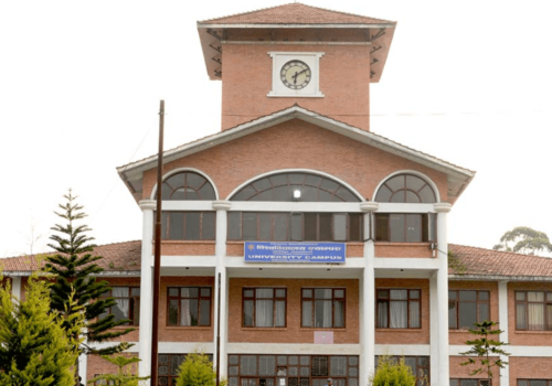 त्रिवि सिनेट : नीति तथा कार्यक्रम रोकेर बजेट पास